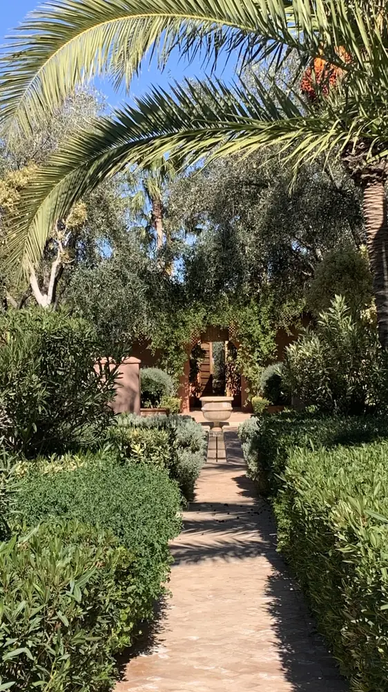 Une allée sous les palmes